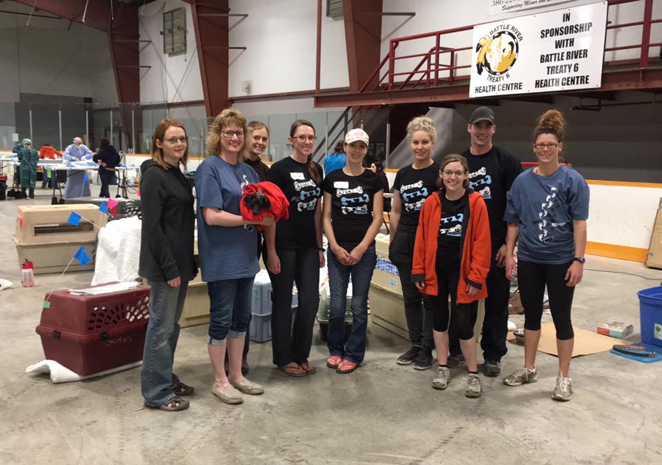 Peace Love Adopt t-Shirt for Prairie Pooches in Saskatchewan